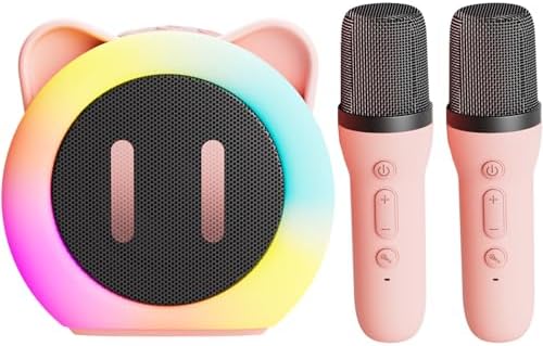 Kinder-Karaoke-Box mit zwei Mikrofonen
